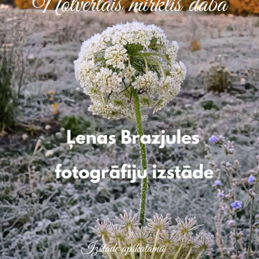 Notvertais mirklis dabā