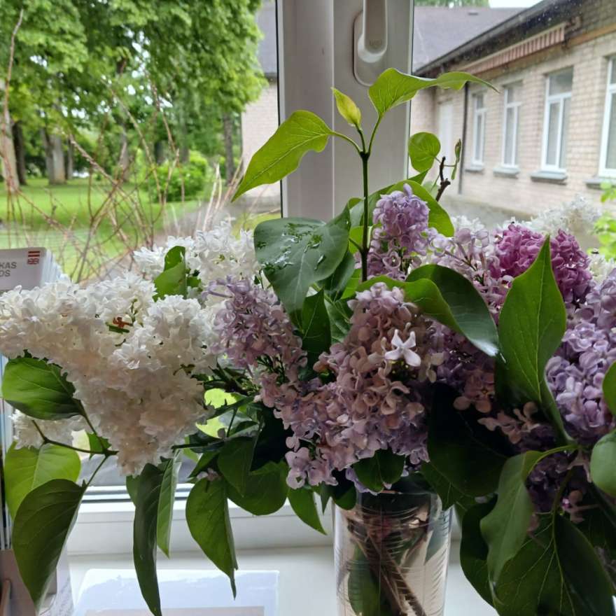 Aizvadīta lasītāju klubiņa 