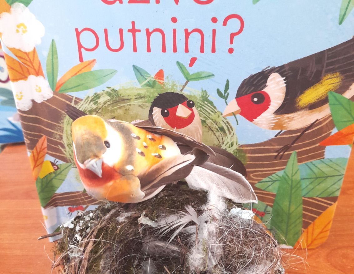  Mazo prātnieku skola. Dzīves cikli dabā - lielās pārvērtības