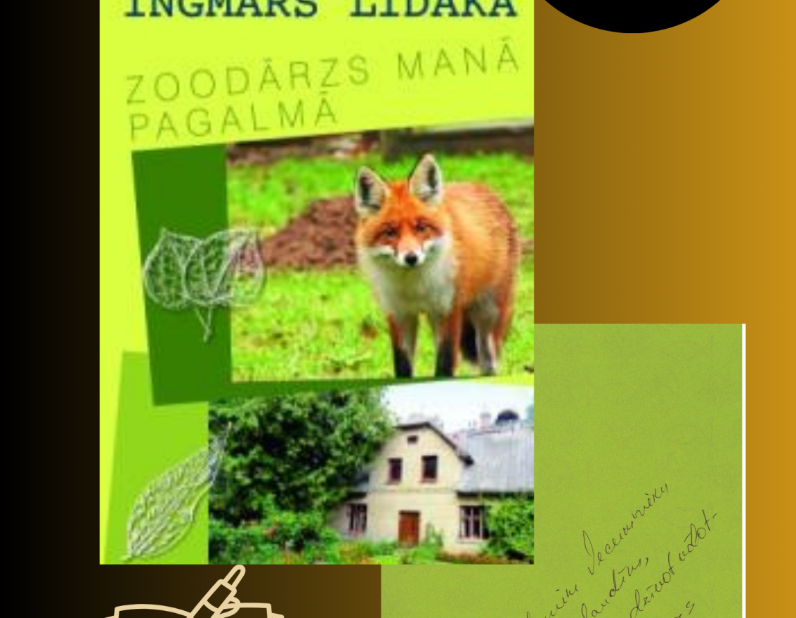 Vecumnieku pagasta bibliotēkas grāmatu krājuma Adventes kalendārs