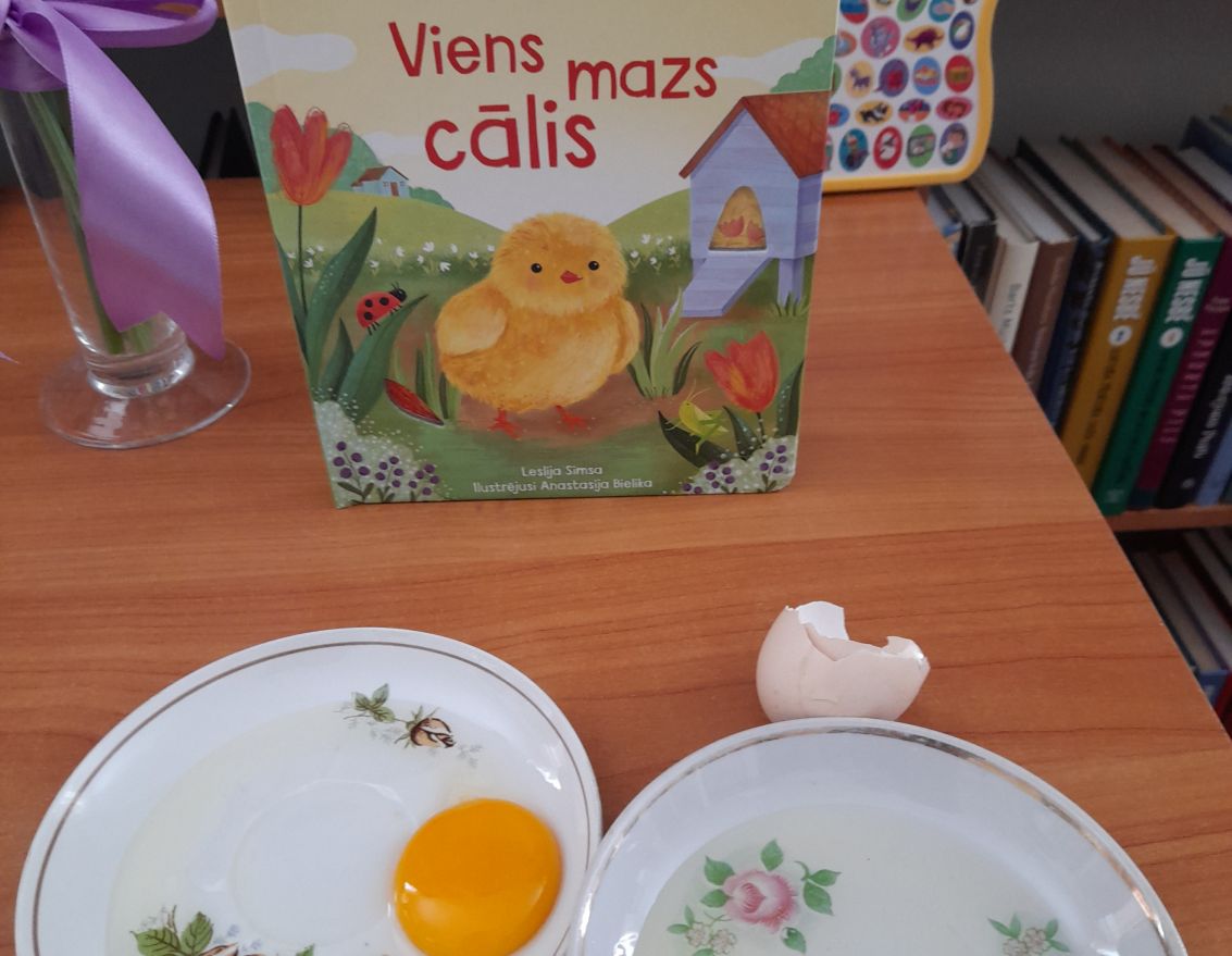  Mazo prātnieku skola. Dzīves cikli dabā - lielās pārvērtības