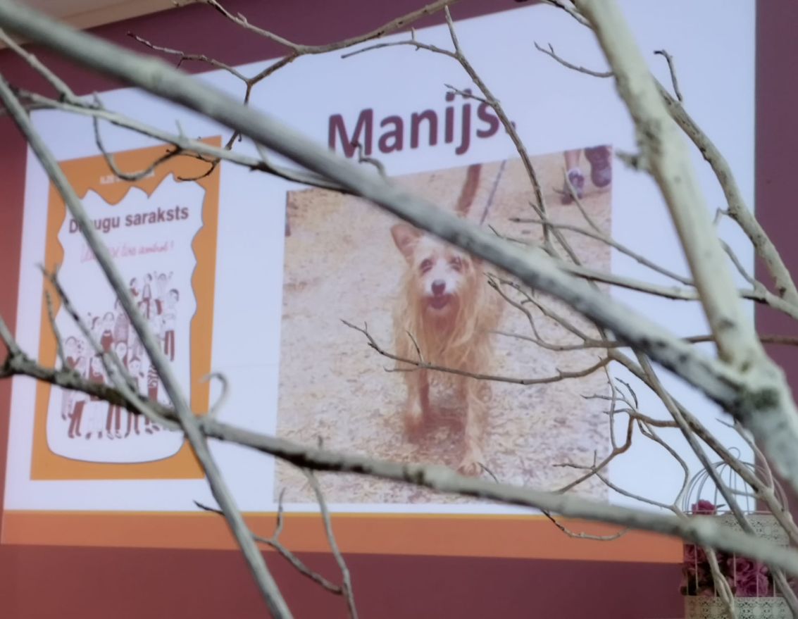 BJVŽ noslēguma pasākums un tik&scaron;anās ar Ilzi Skrastiņu