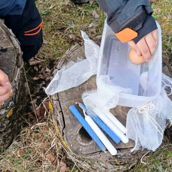 Radošā sestdiena "Skaistākā ola"
