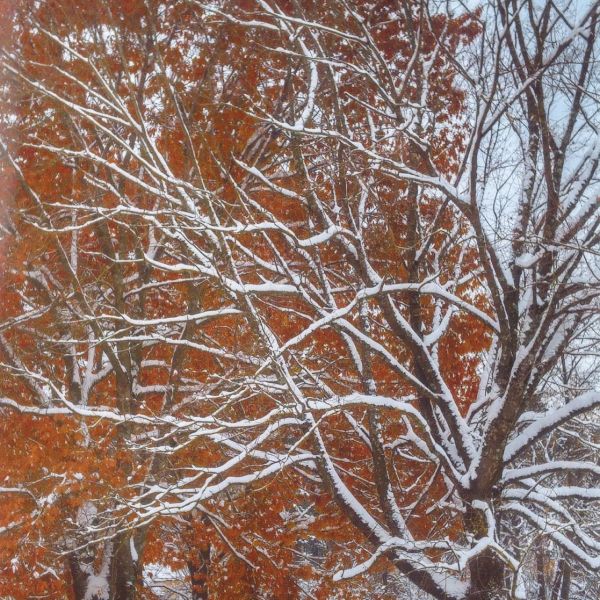 Krāsa-forma-kompozīcija