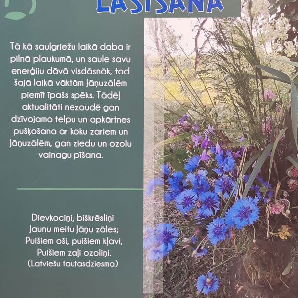 Jāņu un Līgo svētku tradīcijas