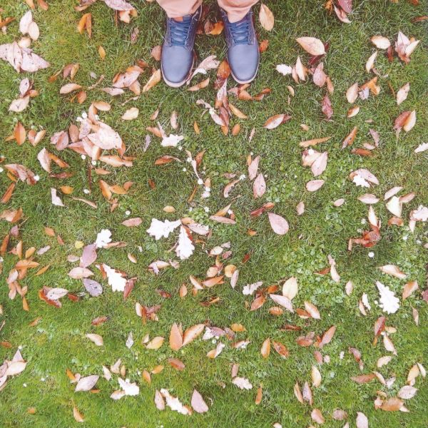 Krāsa-forma-kompozīcija