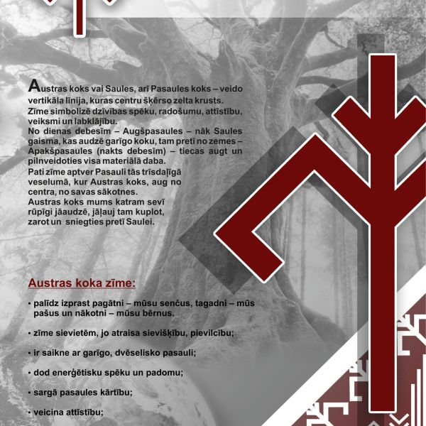 Latvju zīmes - spēks un atbalsts