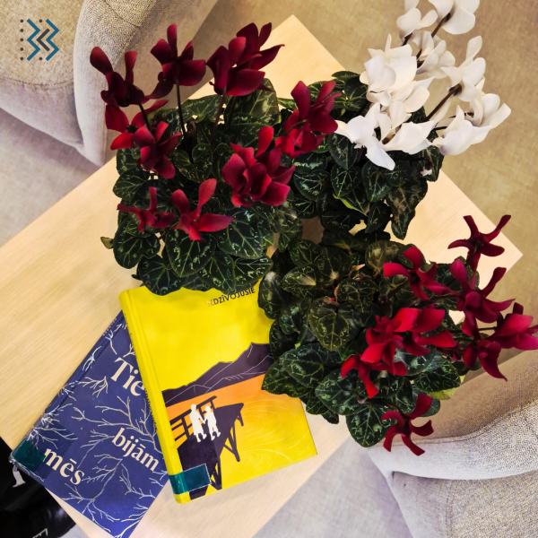 Vienotība Ziemeļos. Tikšanās ar Jolantu Pētersoni