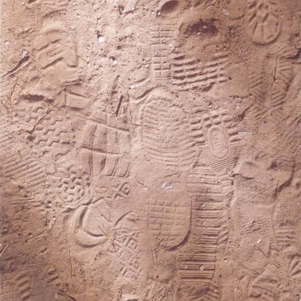 Krāsa-forma-kompozīcija